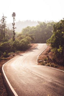 Orman yoluyla ülkenin karayolu