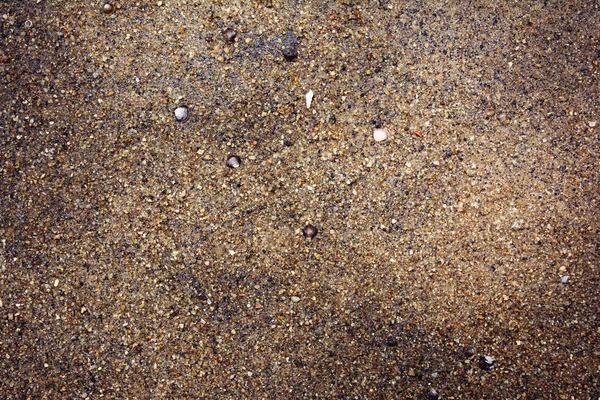 Natte Zand Textuur Achtergrond — Stockfoto