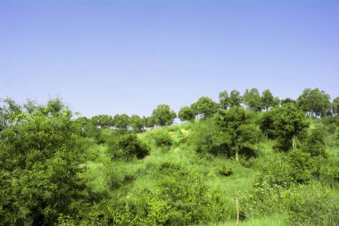 dağ ve mavi gökyüzü