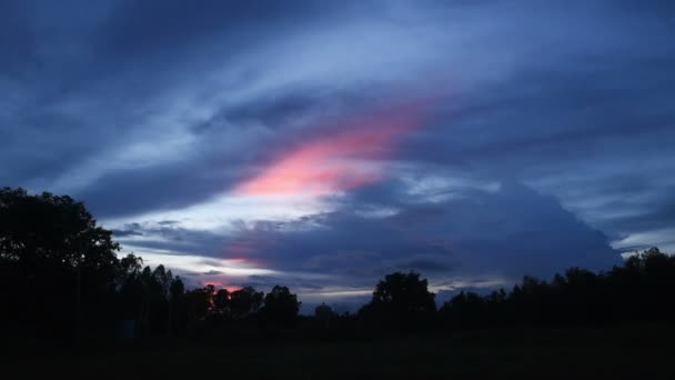 아름다운 하늘을 배경으로 — 비디오