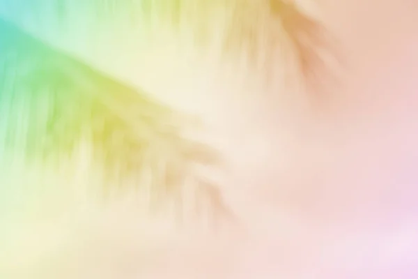 Soft Blurred Tropical Palm Leaf Pastel Color Background — Stock Photo, Image