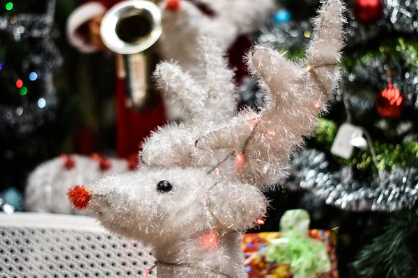 Vit jul renhuvud med julgran på suddig bac — Stockfoto