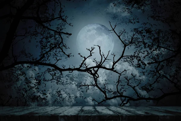 Scary Horror Background Empty Wooden Planks Spooky Forest Full Moon — ストック写真