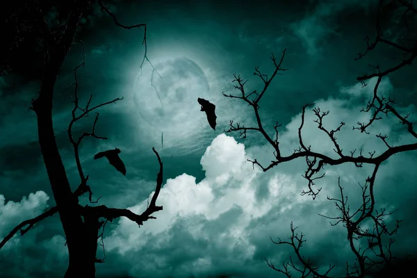 Conceito Halloween Floresta Assustadora Com Lua Cheia Árvores Mortas — Fotografia de Stock