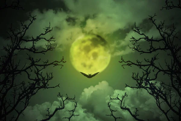 Halloween Concept Spooky Forest Full Moon Dead Trees Dark Horror — Stock Photo, Image