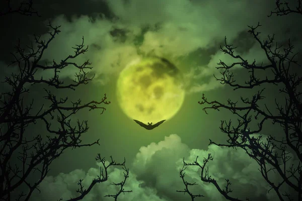 Halloween concept: Spooky forest with full moon and dead trees, dark horror background.