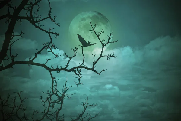 Halloween concept: Spooky forest with full moon and dead trees, dark horror background.