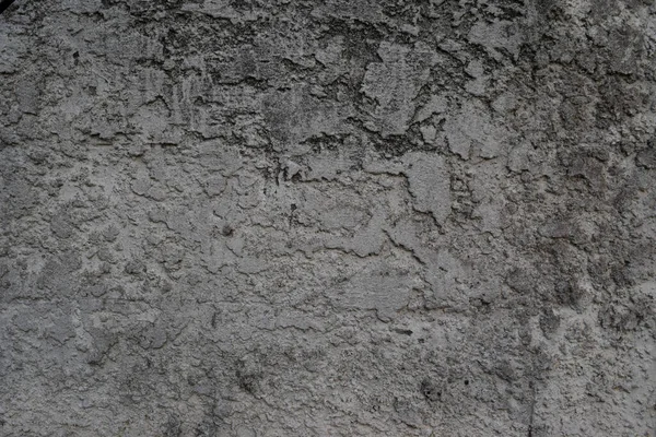 단단하게 콘크리트 그린다 Cement Textur — 스톡 사진