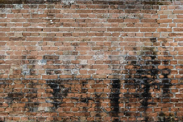 Old grunge brick wall background. Weathered textured pattern bac
