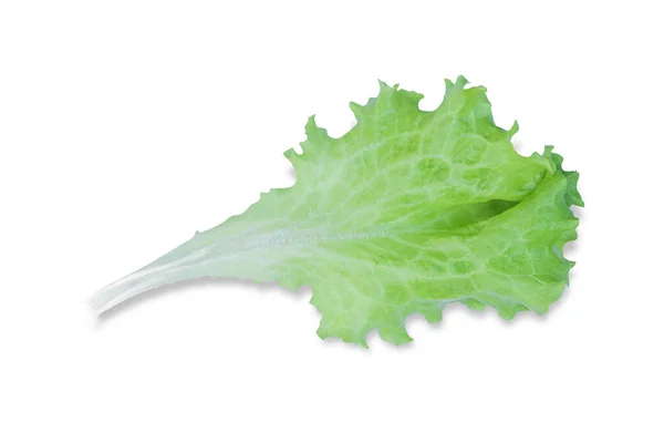 Green Lettuce Salad Isolated White Background Clipping Path — Stock Photo, Image