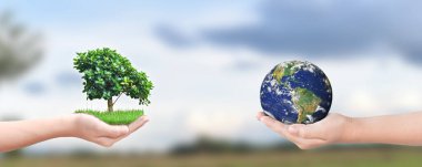 Çevre günü konsepti: Ağaç ve toprağı bulanık doğa arkaplanı üzerinde tutan çocuk elleri. Bu görüntünün elementleri NASA tarafından desteklenmektedir