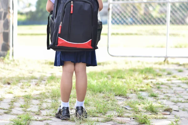 Back to school, Child girl with bag go to elementary school. Pupil go study with backpack. education concept