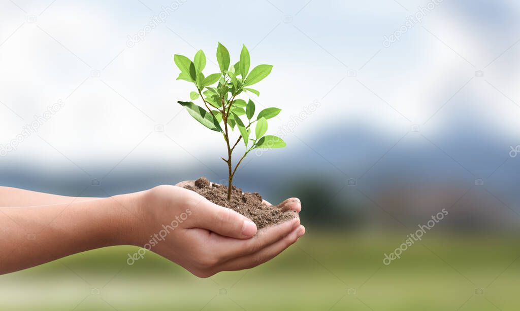 Environment day concept. Young plant on the ground in hand over spring green nature background.