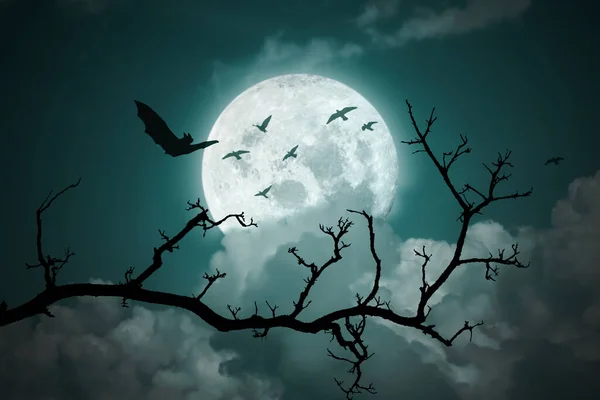 Halloween Background Full Moon Night Sky — Stock Photo, Image