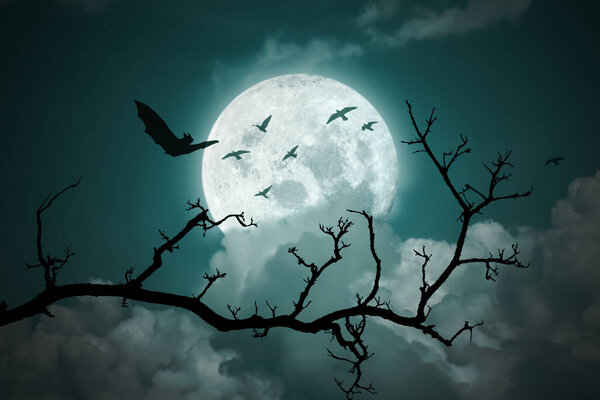 Halloween background. Full moon in the night sky.