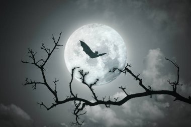 Cadılar Bayramı geçmişi. Gece gökyüzünde dolunay.