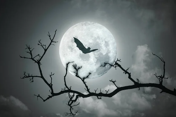 Halloween Background Full Moon Night Sky — Stock Photo, Image