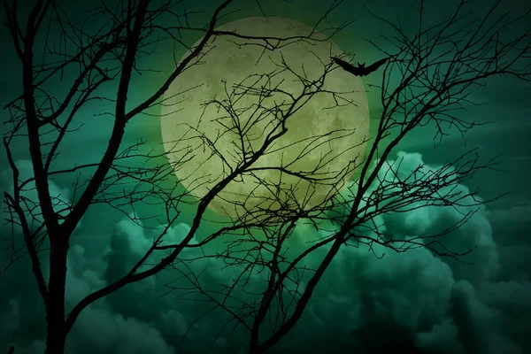 ハロウィーンのコンセプト 夜空に満月と枯れ木と森の恐怖の背景 — ストック写真