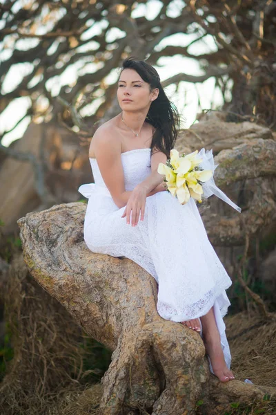 Novia Vestido Novia Sienta Las Raíces Árbol Medio Las Piedras — Foto de Stock