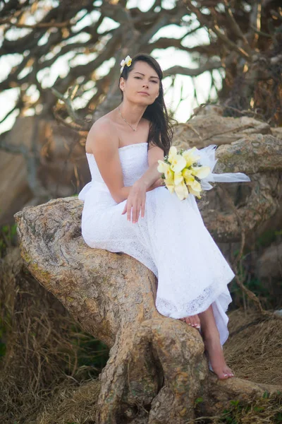 Novia Vestido Novia Sienta Las Raíces Árbol Medio Las Piedras — Foto de Stock