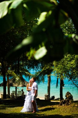 Gelin ve damat tropikal bitki karşı denizin ortasında dur. Büyük tropikal yaprakları ön planda