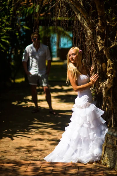 Novia Está Cerca Del Árbol Tropical Detrás Ella Está Novio — Foto de Stock