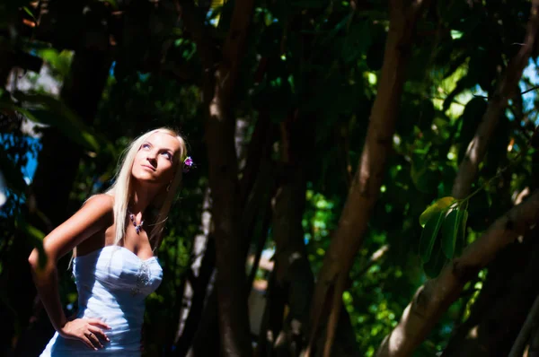 Hermosa Novia Posando Sobre Fondo Árboles Tropicales — Foto de Stock