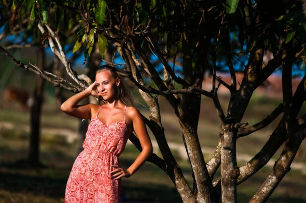 yakınındaki bir tropik ağaç günbatımı duran kıza