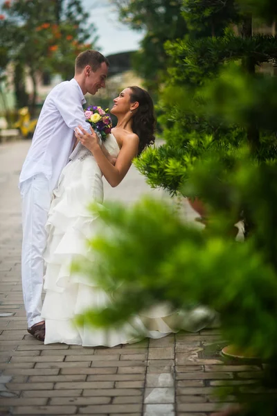 Noivo Abraçou Noiva Inclinou Para Beijar Casamento Casal Abraçando Entre — Fotografia de Stock