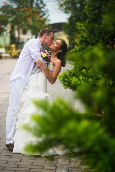 Noivo Beija Noiva Casamento Casal Beijando Meio Plantas Verdes Parque — Fotografia de Stock