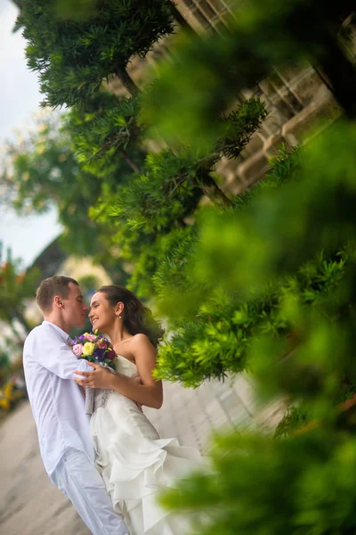 Groom Dressed White Kissing Beautiful Bride Wedding Couple Kissing Middle — Stock Photo, Image
