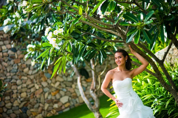 Hermosa Novia Posando Vestido Novia Con Árbol Tropical — Foto de Stock