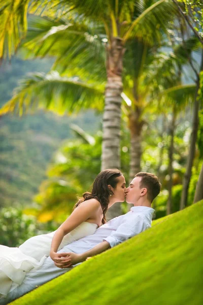 Gli Sposi Baciano Dolcemente Sull Erba Verde Contro Palme Estate — Foto Stock