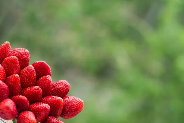 Fraises Rouges Dans Coin Inférieur Gauche Sur Fond Des Arbres — Photo