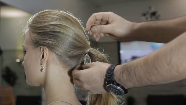 Concepto de cuidado del cabello. Un peluquero demuestra el pelo de los clientes — Vídeos de Stock