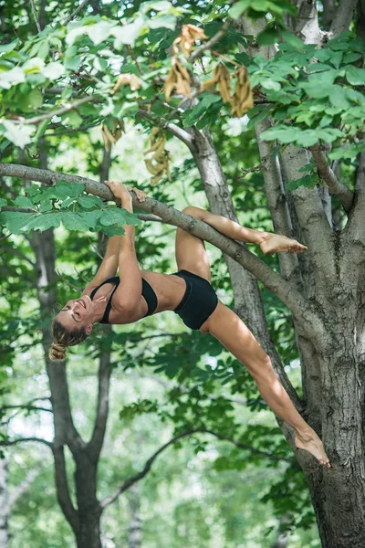 Esportes Acrobata Menina Executa Elemento Acrobático Árvore Mulher Envolvida Ginástica — Fotografia de Stock