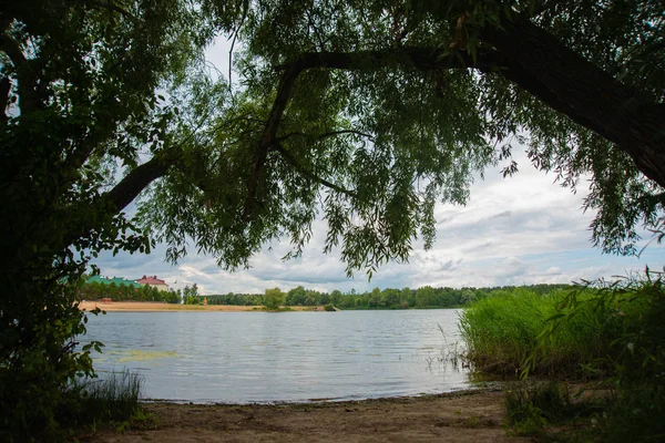 Jezioro Trzciny Cukrowej Miejsce Połowów Natura Krajobraz Letni Dzień — Zdjęcie stockowe