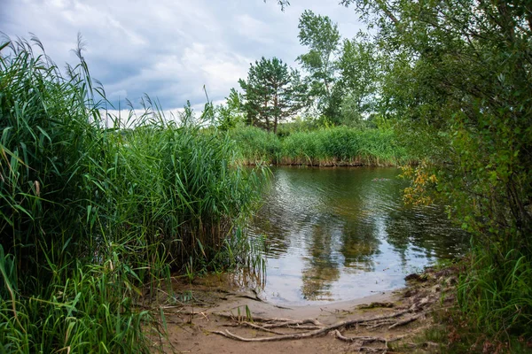 Lake Cane Fishing Place Nature Landscape Summer Day — Stock Photo, Image