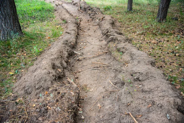 A long trench, dug out to drain the land and laying of pipes for communication in forest