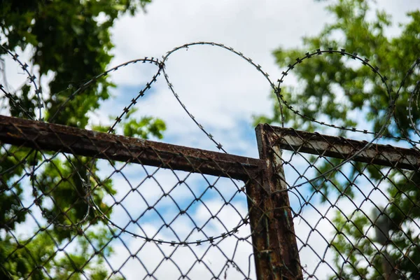 Ett Staket Med Taggtråd Utomhus Himmel Och Träd Bakrund — Stockfoto