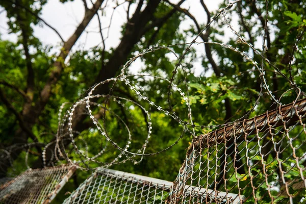 Паркан Колючим Дротом Відкритому Повітрі Небі Дерево Позаду — стокове фото