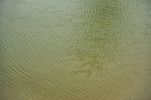 오후에 잔물결이 호수에 — 스톡 사진