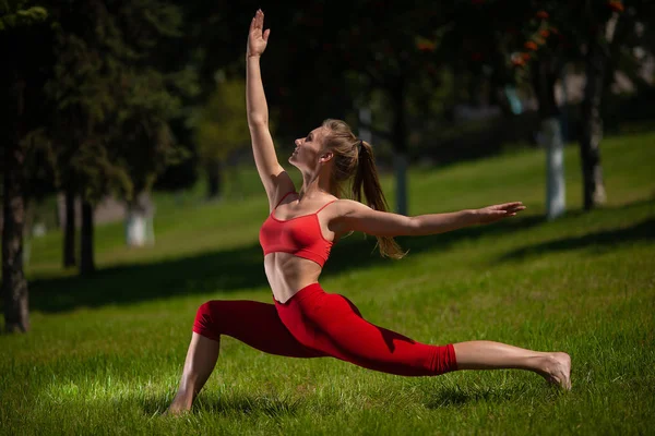 Jovem Mulher Atraente Praticando Ioga Livre Menina Realiza Vários Exercícios — Fotografia de Stock