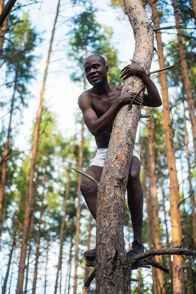 Hombre negro sin camisa trepa a un árbol — Foto de Stock