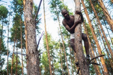 Erkek Gömlek yok siyah ormanda bir ağaç tırmanıyor