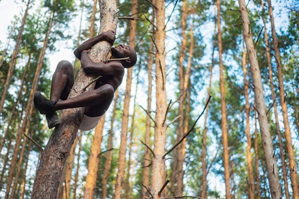 Male black with no shirt climbs a tree