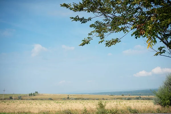 Літній Пейзаж Полями Луками Хмарним Небом Сонячна Природа — стокове фото