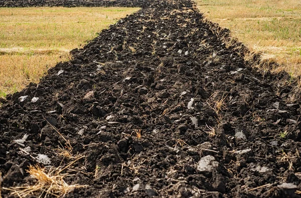 Banda Cavó Tierra Negra Para Plantarla Trabajos Tierra Agricultura — Foto de Stock