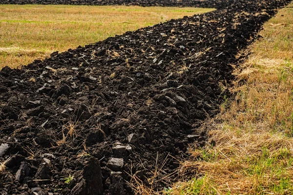 The band dug the black earth for planting. Earthworks, agriculture