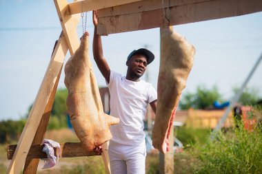 Siyah kasap asmak daha sonra açık havada yaz aylarında kırsal kesimde işlemek için domuz leşleri